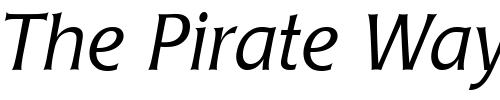 Font : Poppl-Laudatio-Light-Italic 2 Custom Text : The Pirate Way Test your own text here Click to download or to view this font on a tshirt that can be custom printed in Bali